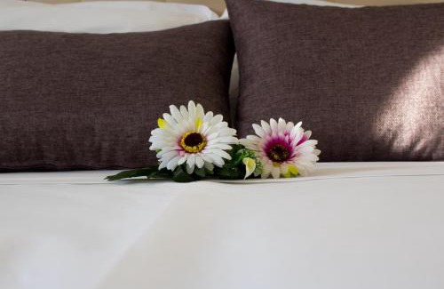 Gravina in Puglia Apartment | Coluni Sport & Resort srl