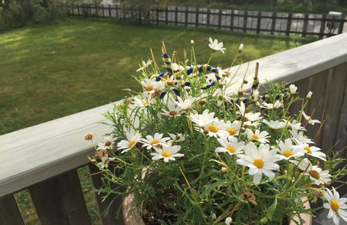 Kode House | Combine a relaxing holiday on the west coast with a discovery holiday in Gothenburg