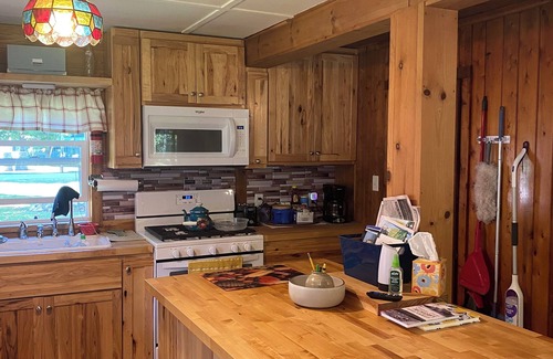 Manistique Cabin | Come relax at the cabin on Indian lake. The outdoors awaits you and your pets.