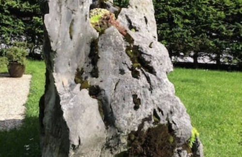 Weidach Apartment | Comfort apartment 'EDELWEISS'