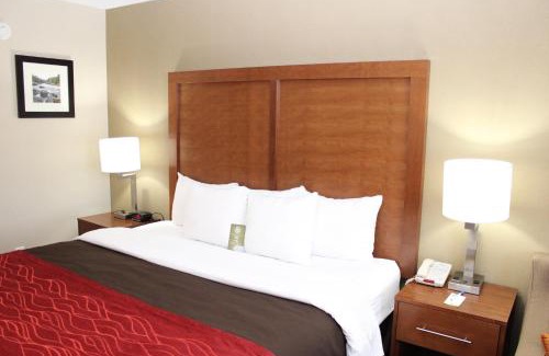 Bangor Hotel | Comfort Inn Bangor North