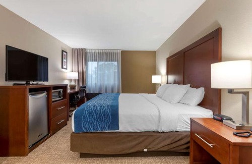 Binghamton Hotel | Comfort Inn Binghamton