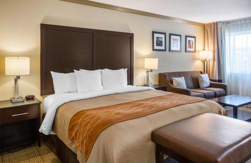 Castro Valley Hotel | Comfort Inn Castro Valley