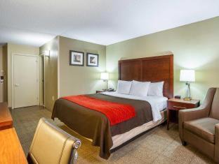 Downtown Cleveland Hotel | Comfort Inn Cleveland Downtown