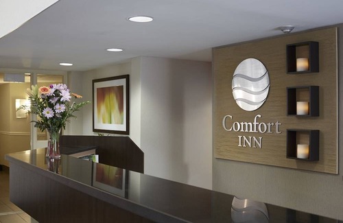 Dryden Hotel | Comfort Inn Dryden