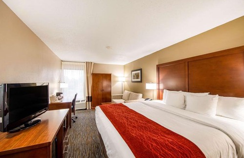 Greenville - Spartanburg Hotel | Comfort Inn Haywood Mall Area