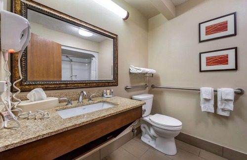 Lexington Hotel | Comfort Inn Lexington