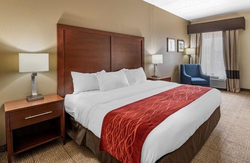 Lexington Hotel | Comfort Inn Lexington