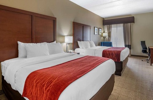 Lexington Hotel | Comfort Inn Lexington