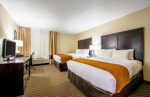 Matteson Hotel | Comfort Inn Matteson - Chicago