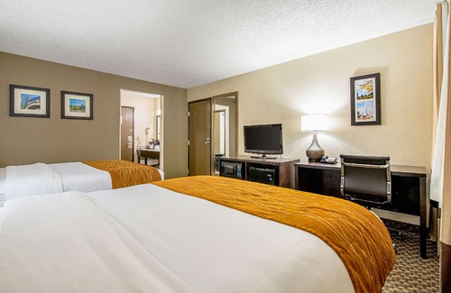 Matteson Hotel | Comfort Inn Matteson - Chicago