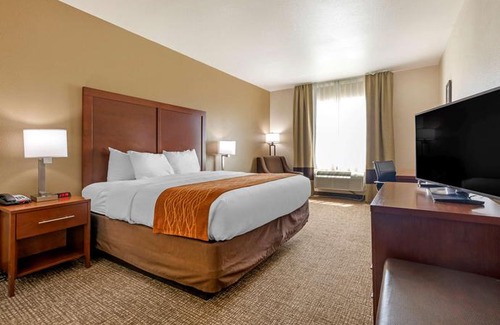 Denton Hotel | Comfort Inn Near UNT