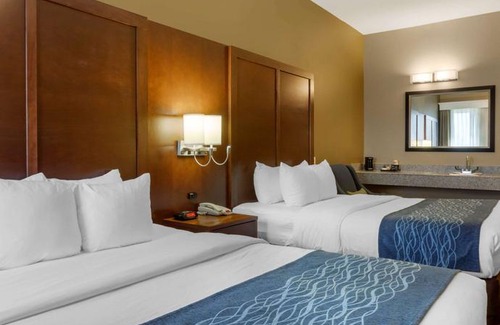 Amarillo Hotel | Comfort Inn & Suites Amarillo