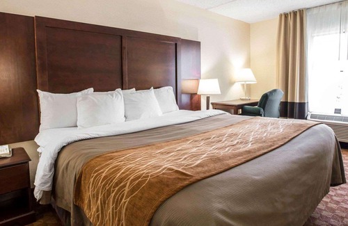 Valley Falls Hotel | Comfort Inn & Suites at I-85