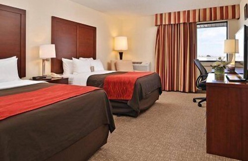 Northeast Park Hill Hotel | Comfort Inn & Suites Denver Northfield
