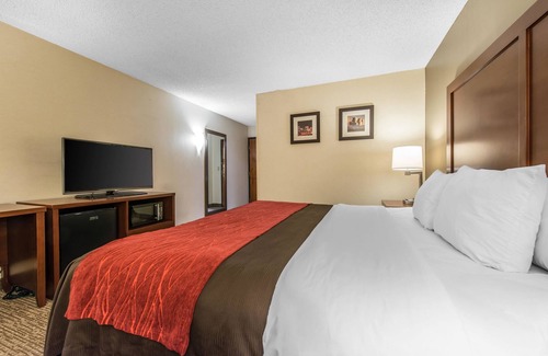 Northeast Park Hill Hotel | Comfort Inn & Suites Denver Northfield