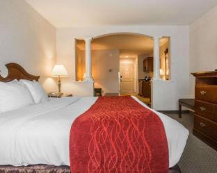 Castleton-on-Hudson Hotel | Comfort Inn & Suites East Greenbush - Albany