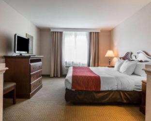 Castleton-on-Hudson Hotel | Comfort Inn & Suites East Greenbush - Albany