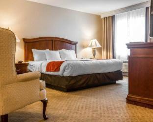 Castleton-on-Hudson Hotel | Comfort Inn & Suites East Greenbush - Albany