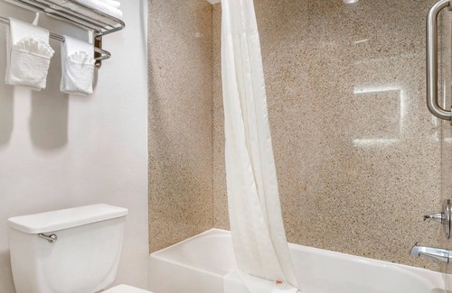 FM 1960 Hotel | Comfort Inn & Suites Houston FM1960 - Champions