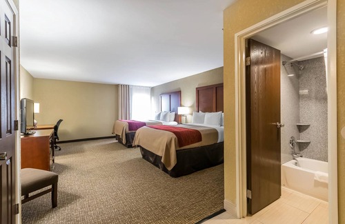 Lexington Hotel | Comfort Inn & Suites Lexington - Hamburg I-75