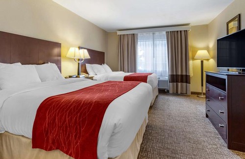 Cortaro Hotel | Comfort Inn & Suites North Tucson - Marana