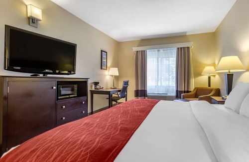 Cortaro Hotel | Comfort Inn & Suites North Tucson - Marana