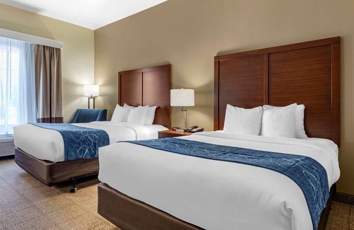 Paris Hotel | Comfort Inn & Suites Paris