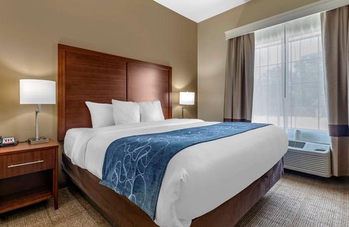 Paris Hotel | Comfort Inn & Suites Paris