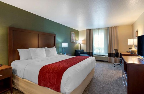 Salem Hotel | Comfort Inn & Suites Salem