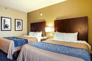 SeaTac Hotel | Comfort Inn & Suites Sea-Tac Airport
