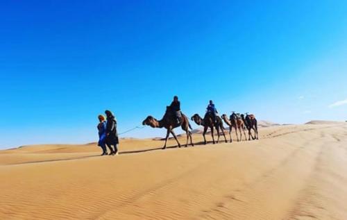 Taouz Other | Comfort Luxury Camp