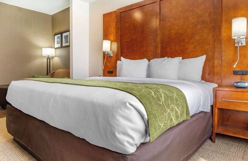 Dover Hotel | Comfort Suites Dover University Area