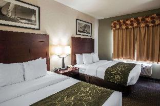 Elgin Hotel | Comfort Suites Elgin Northwest