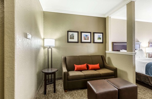 Aldine Hotel | Comfort Suites Houston IAH Airport - Beltway 8
