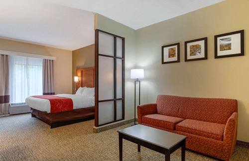 Kingsport Hotel | Comfort Suites Kingsport South