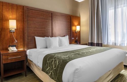 Elkhart Hotel | Comfort Suites North Elkhart