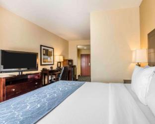 Pell City Hotel | Comfort Suites Pell City I-20 exit 158