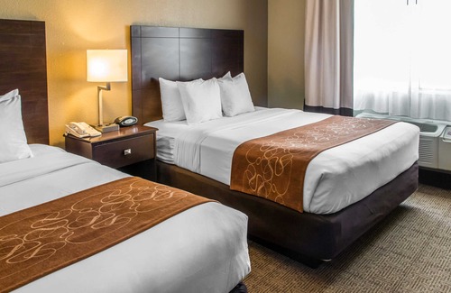 Round Rock Hotel | Comfort Suites Round Rock - Austin North I-35