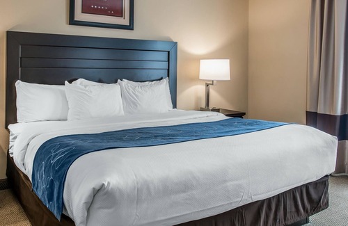Saint Marys  Saint Joseph County Hotel | Comfort Suites South Bend near Casino