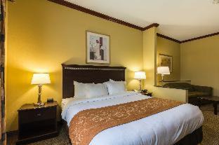 Galveston Hotel | Comfort Suites