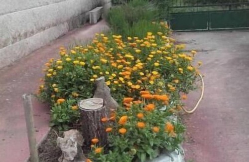 O Savinao House | Comfortable and spacious listing with great views