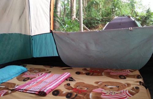 Kithulgala Other | Comfortable Eco Stays in Kitulgala with sightseeing & Adventure activities - Back Kate Resort