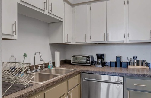 Springfield Apartment | Comfy 2 BR apt with bunk beds - very pet friendly!