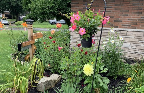 Niagara Falls House | Comfy suite with private pool （4-6 guests)