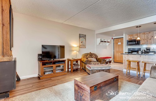 Peak 9 Condo | Completely Renovated, Immaculate Condo. Steps Away from Downtown TE105