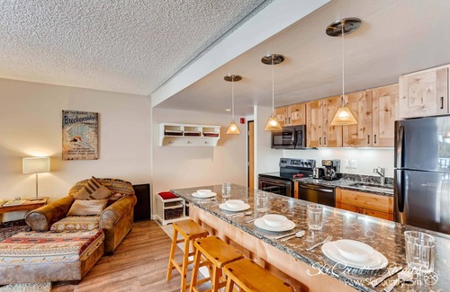 Peak 9 Condo | Completely Renovated, Immaculate Condo. Steps Away from Downtown TE105