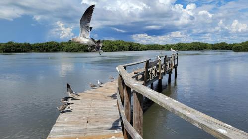 Cedar Key House | Condo C201 at Natures Landing