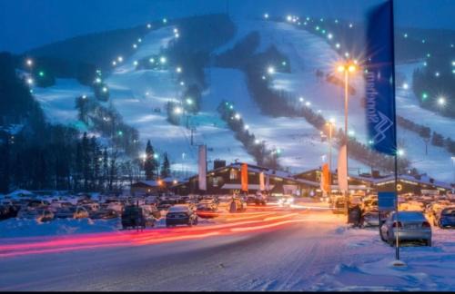 Stoneham Apartment | Condo Ski-In Ski-Out Stoneham