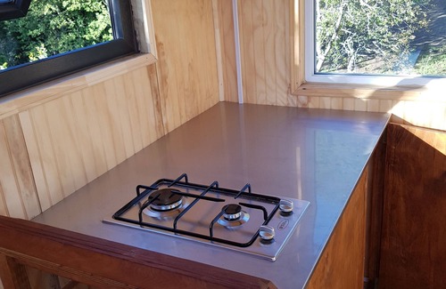 Melipeuco Cabin | Condor Cabin over the trees for 1 person